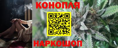 амф Гатчина