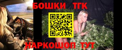 индика Гай