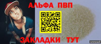 индика Гай